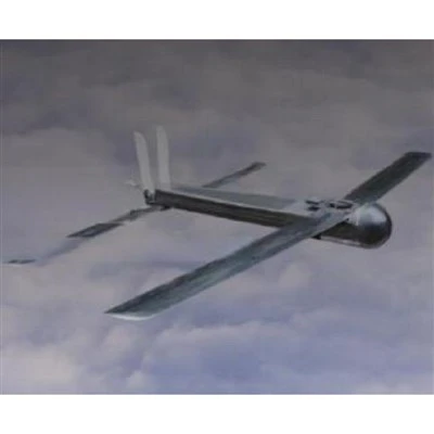 CD120 Folding Wing Hand-launched UAV